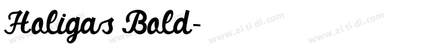 Holigas Bold字体转换